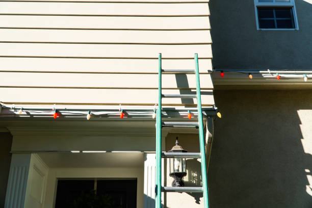 Best Custom Trim and Detailing for Siding  in Aromas, CA